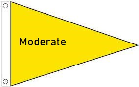 Yellow Flag with word Moderate 