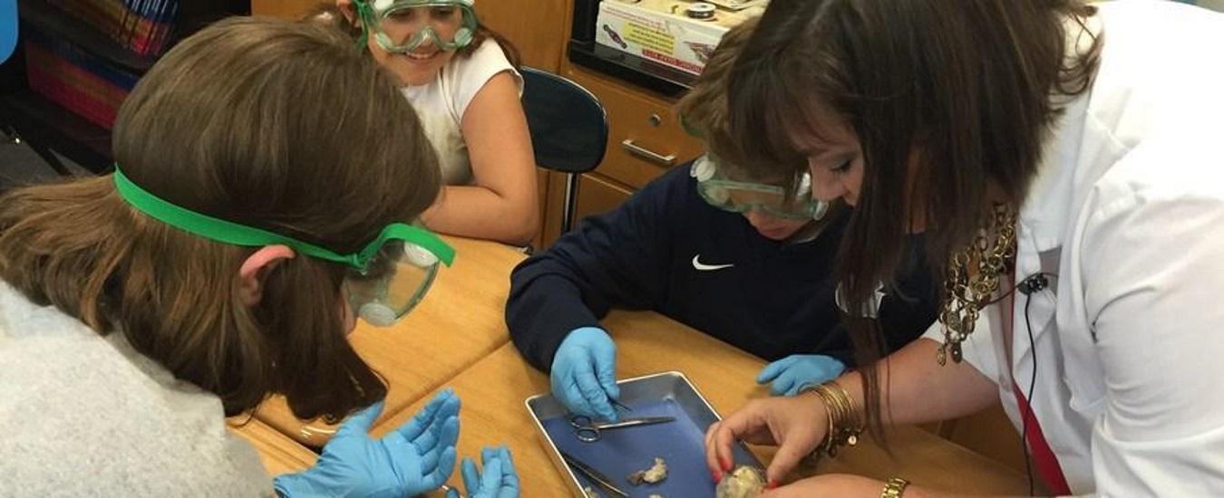 students gathered around dissection tray