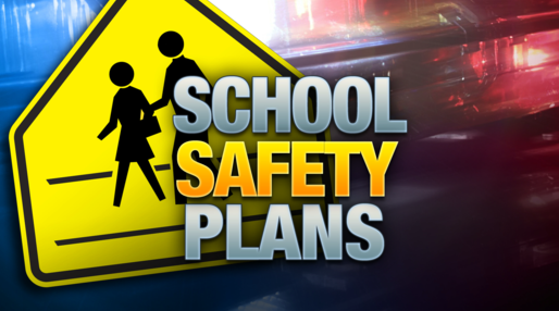 Safe School Plan | Lake Elementary School District