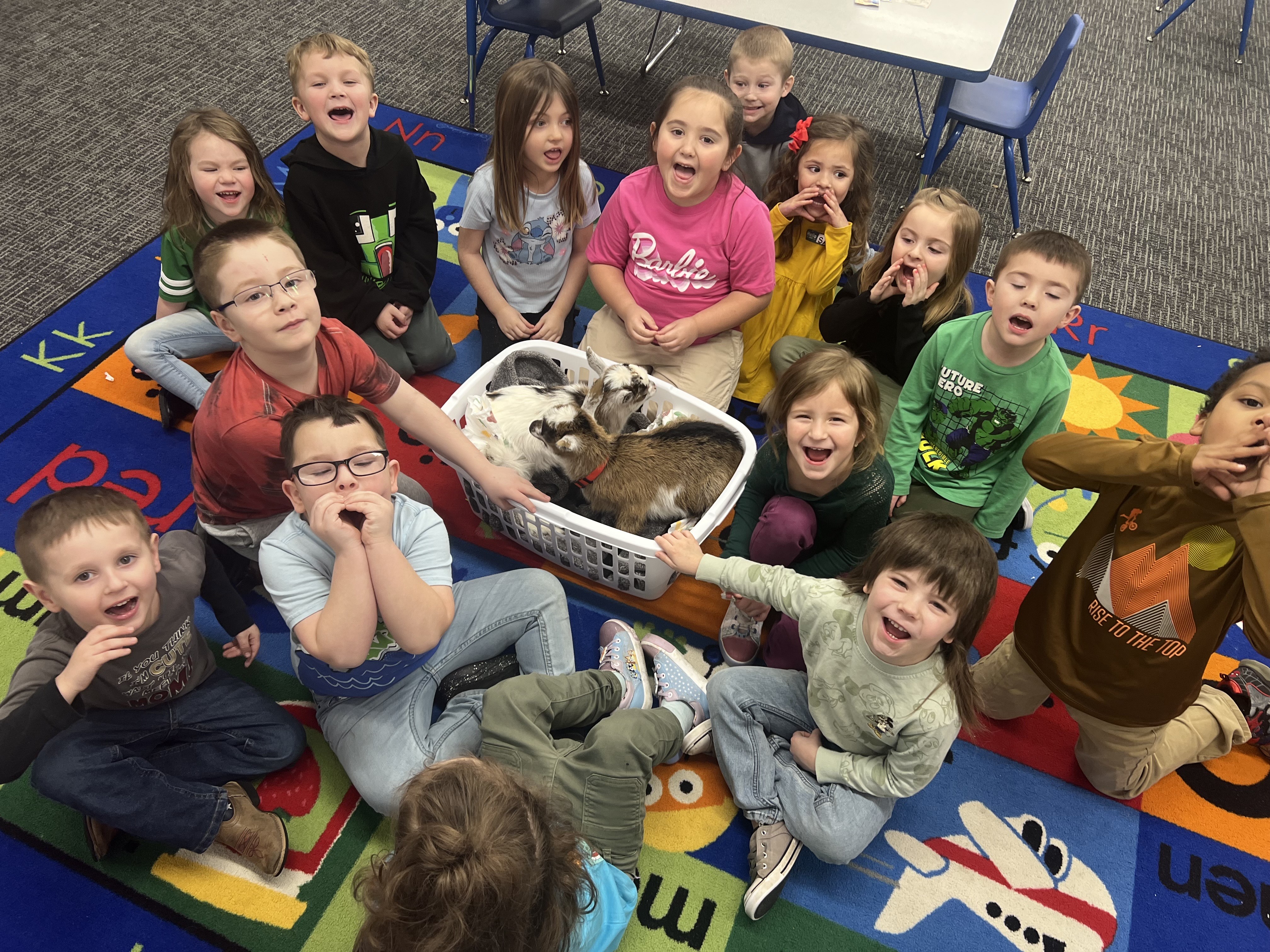 Goats visit Preschool class