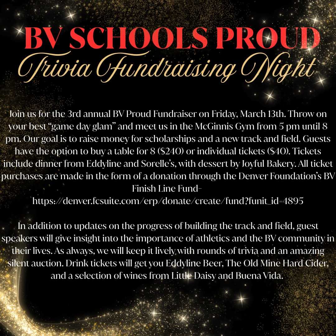 bv schools proud description