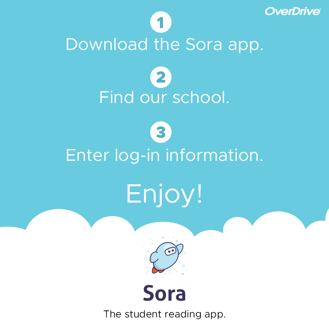 Sora App information