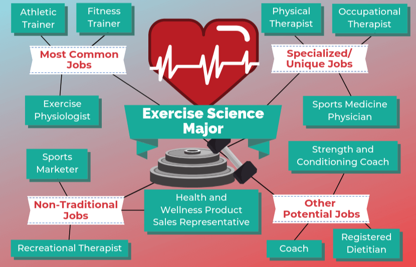 exercise science phd programs ohio