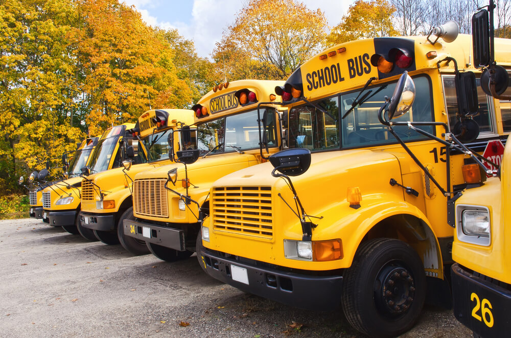 Bus