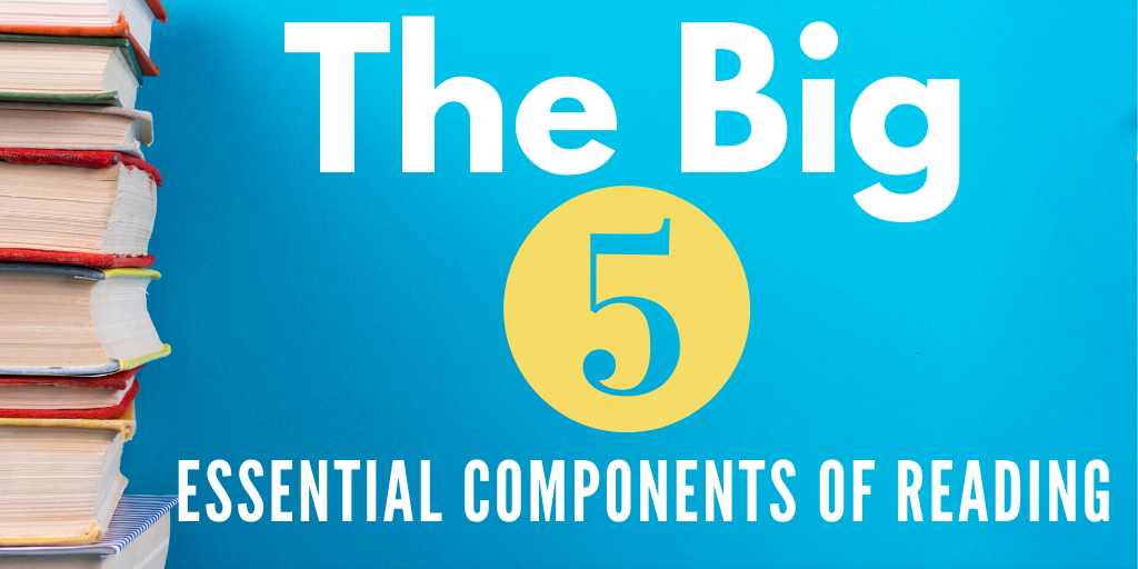 THE BIG 5 ESSENTIAL COMPONENTS OF READING