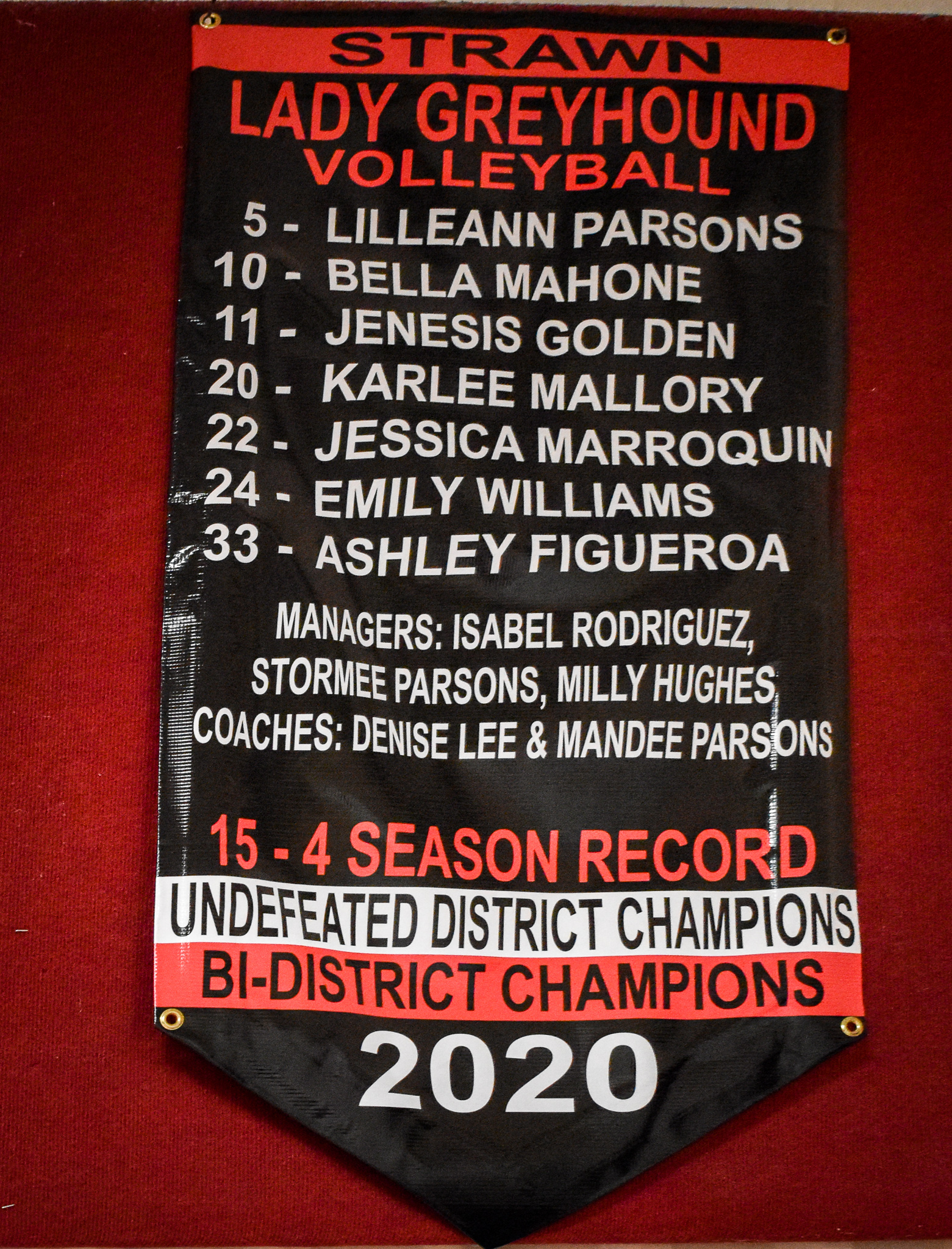 2020 Volleyball Banner