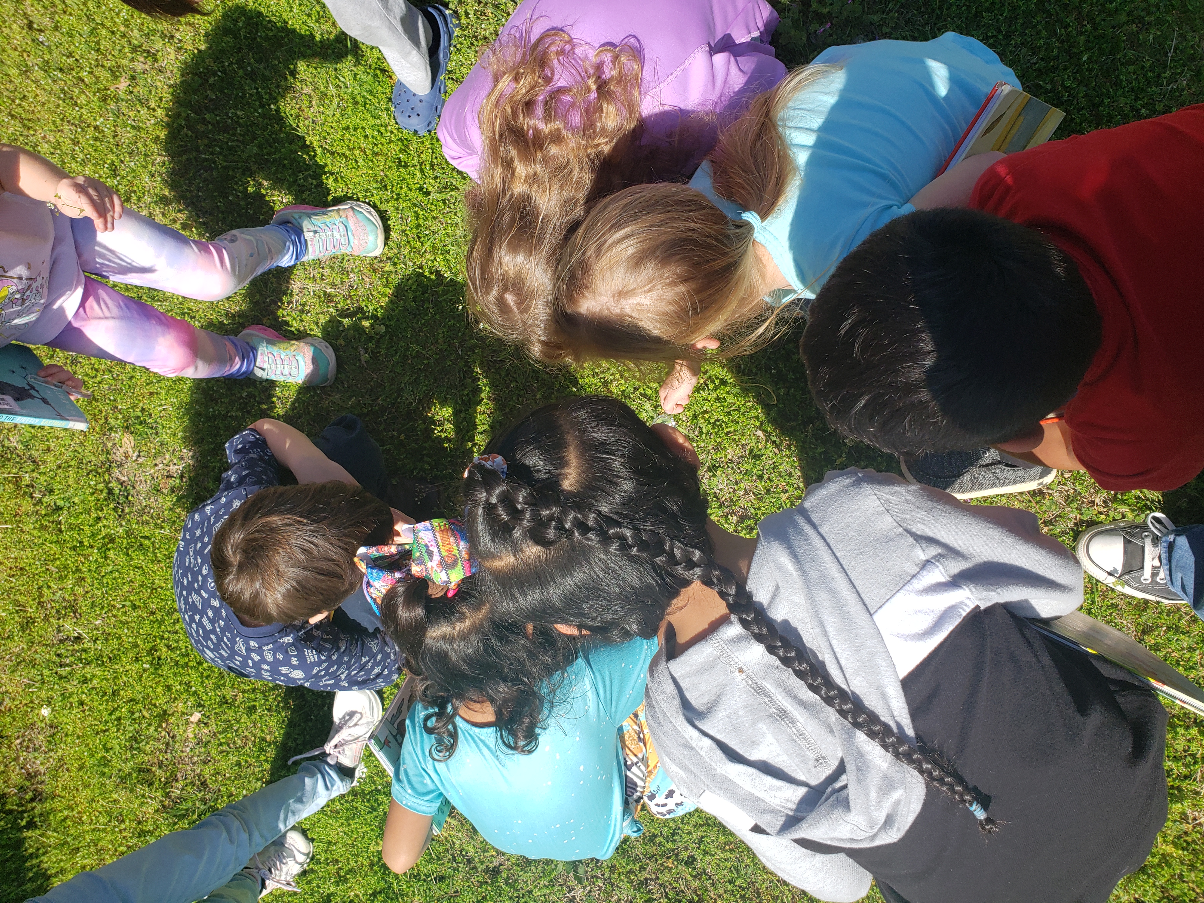 Kindergarten class gathers in a circle to look at flowers with a magnifying glass.