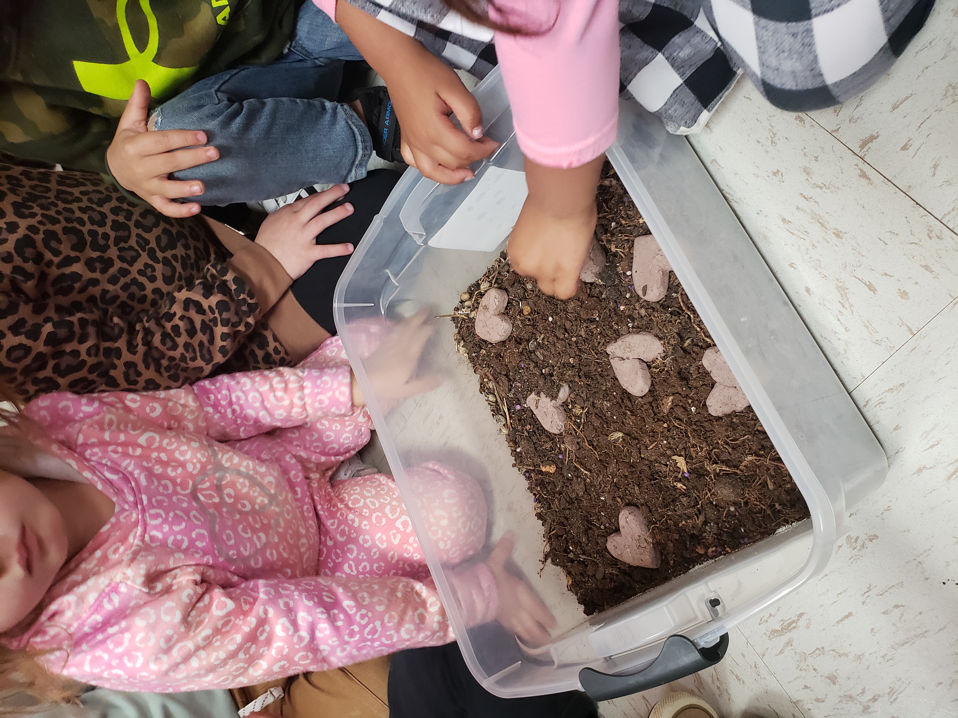 Tiny PreK hands place seed pods into soil