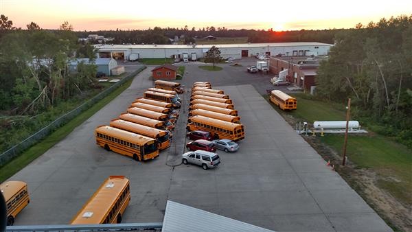 Buses