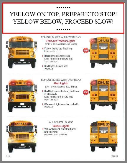 Bus Information