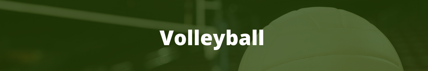 Voleyball