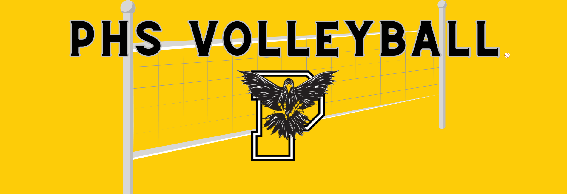 VOLLEYBALL 2023 HS | Pettisville Schools