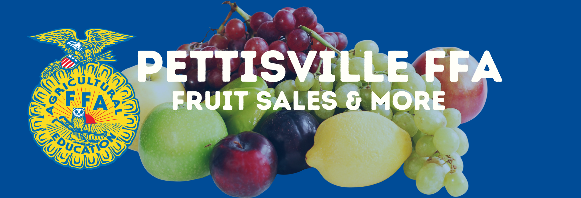 2024 Fall FFA Fruit Sales