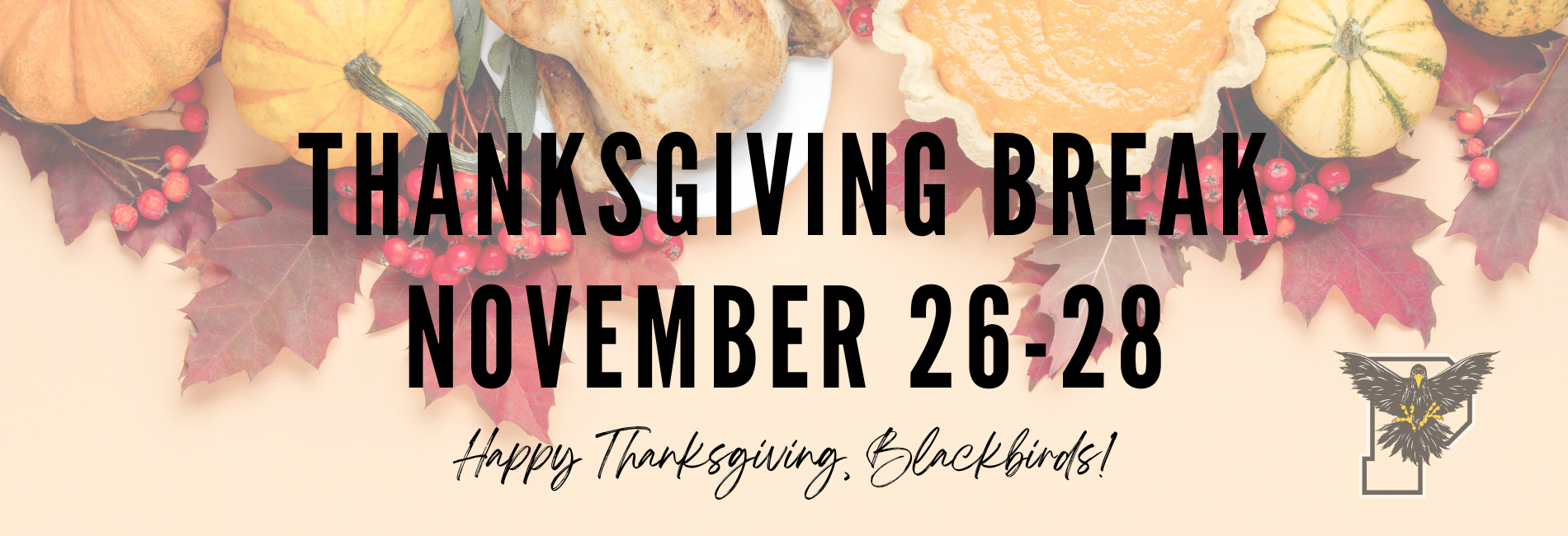 Thanksgiving Break Nov 26-28