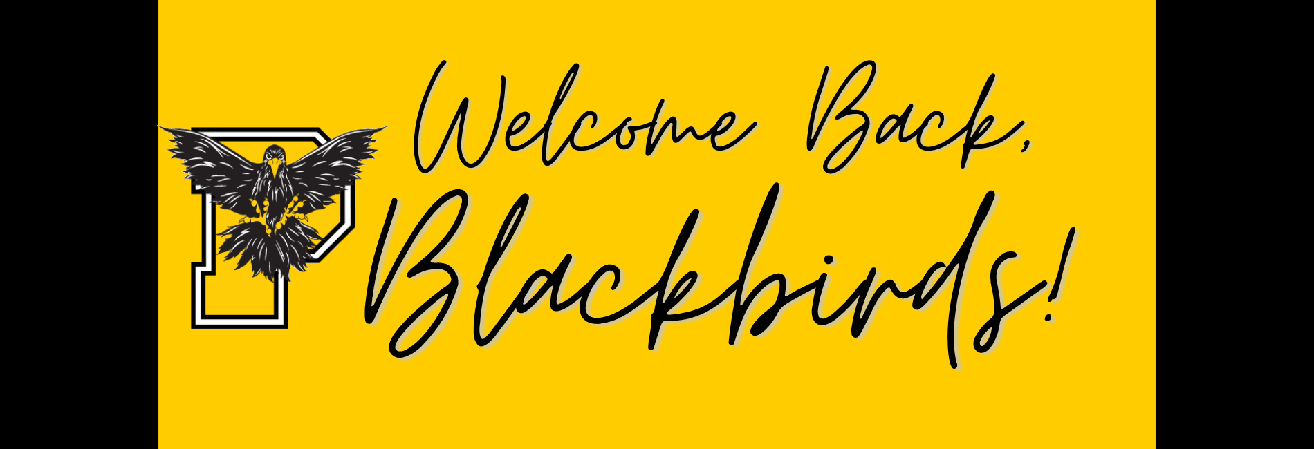 Welcome Back, Blackbirds!