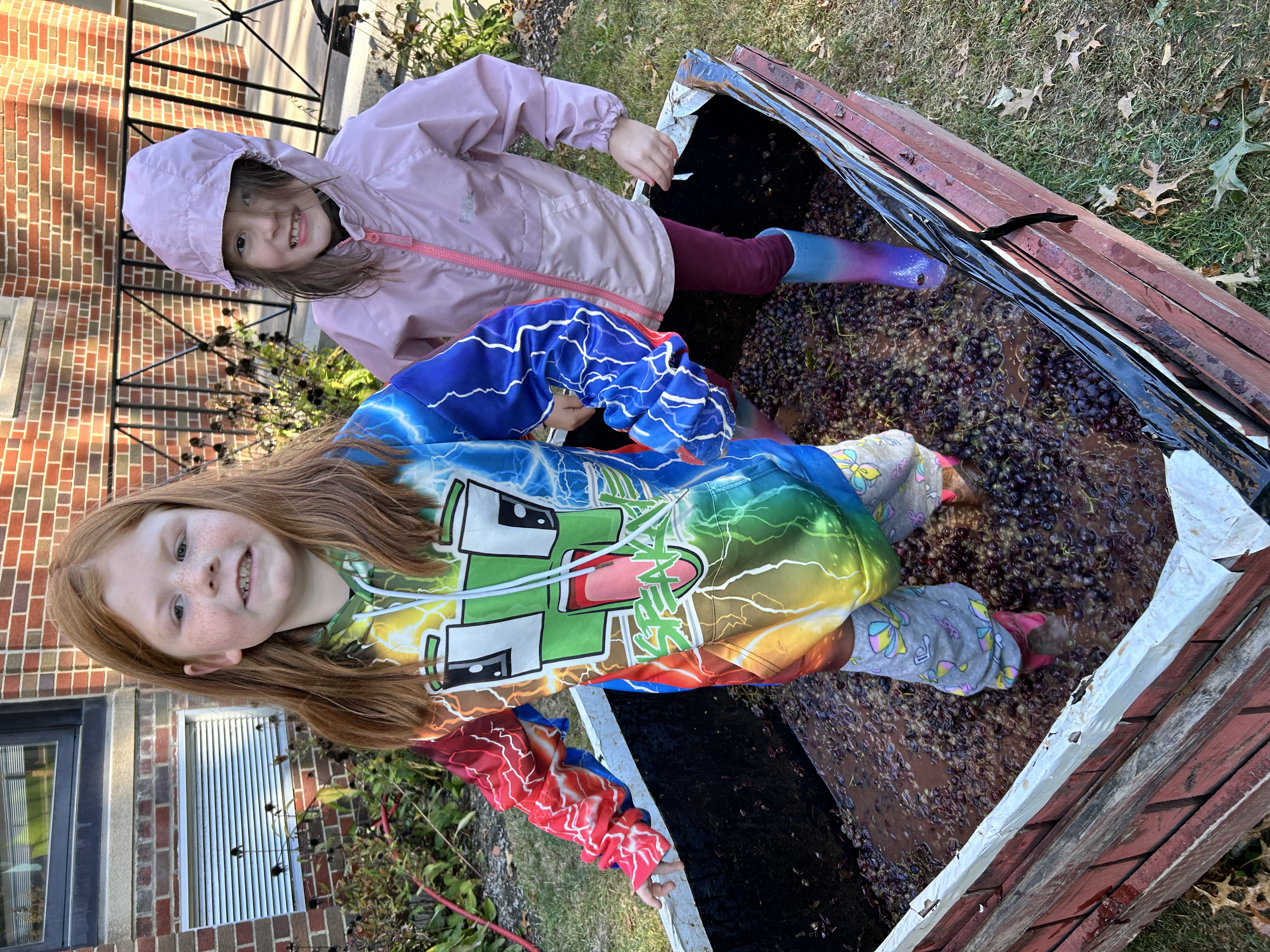 Grape Stomping