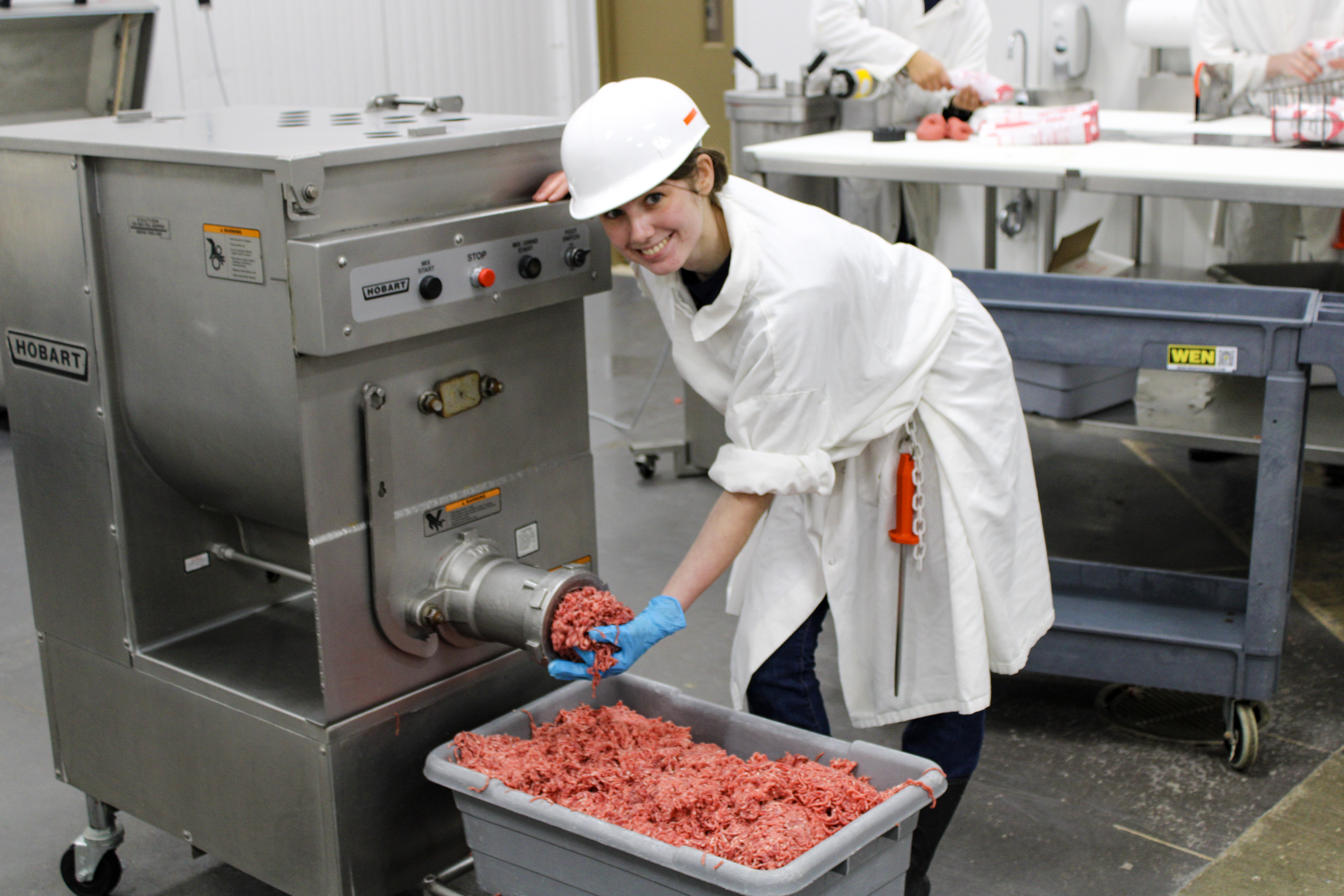 meat and animal science student at work in the classroom