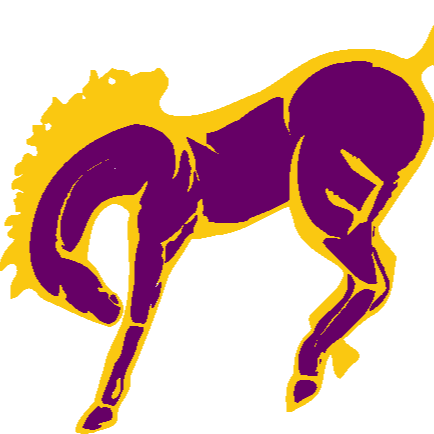 Broncos