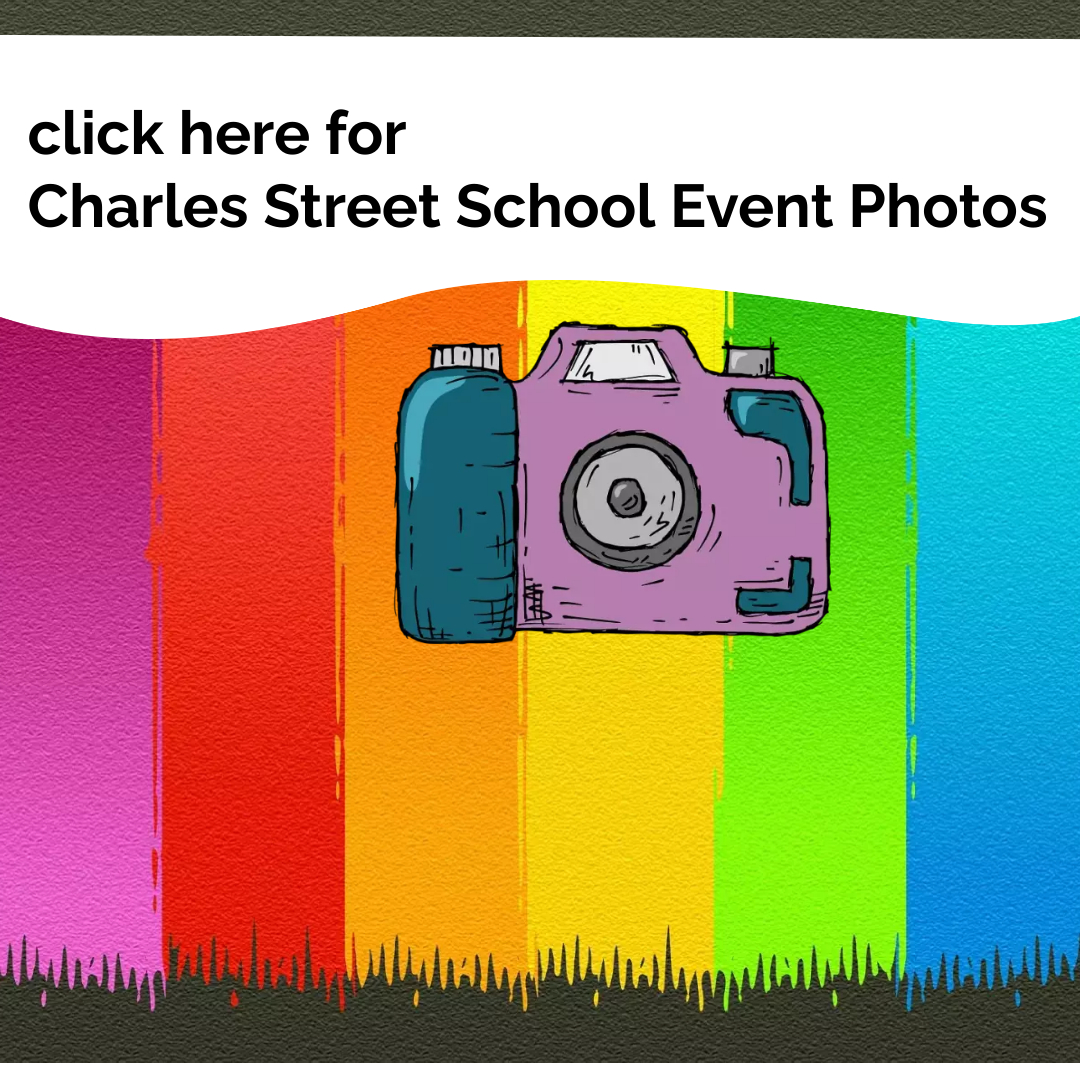 rainbow art with camera for css