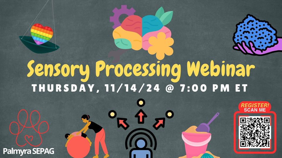 sensory processing webinar