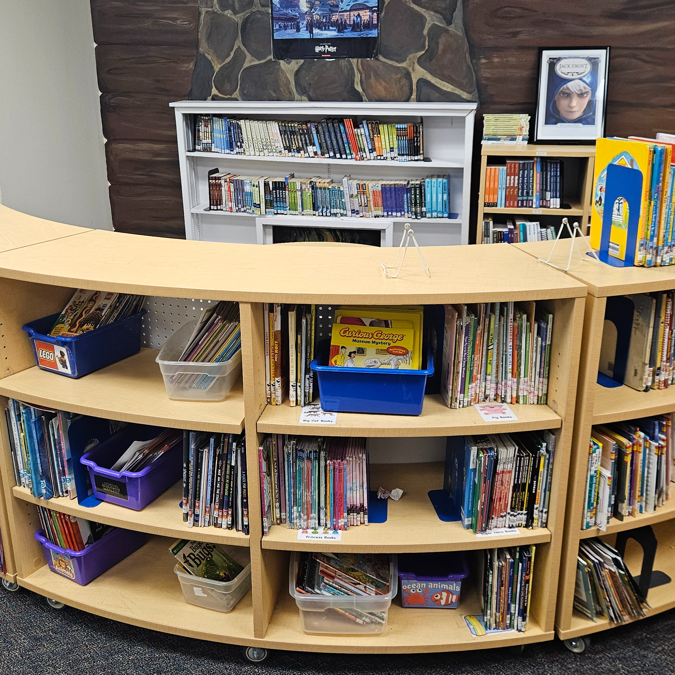 Library Pic