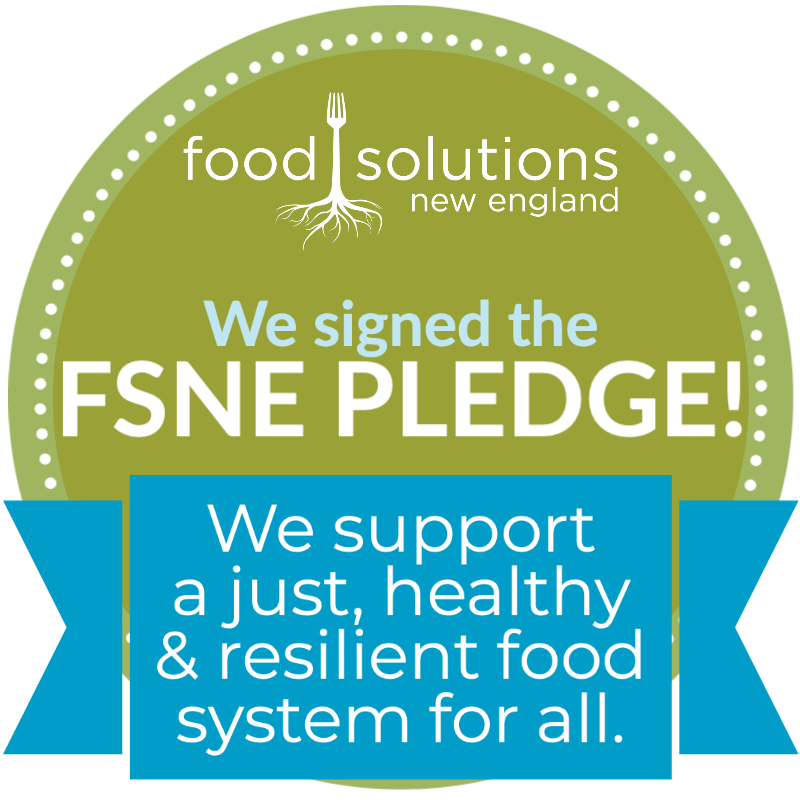 FSNE Pledge - We support a just, Healthy & resilient Food System for all