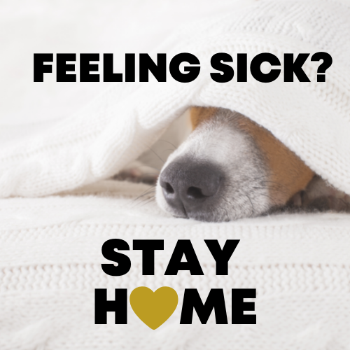 Feeling sick? stay home