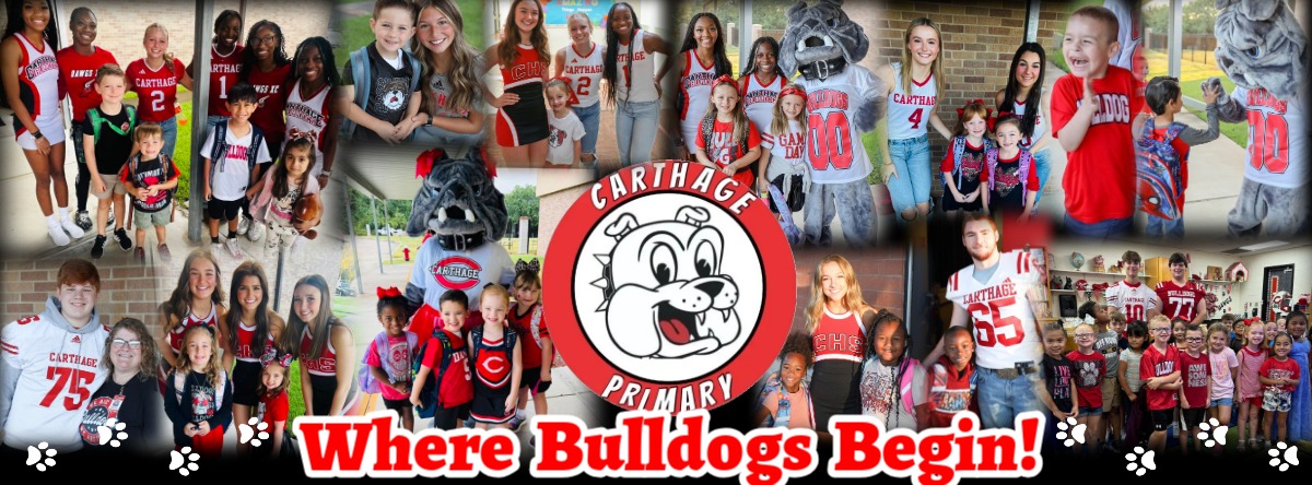 Where Bulldogs Begin