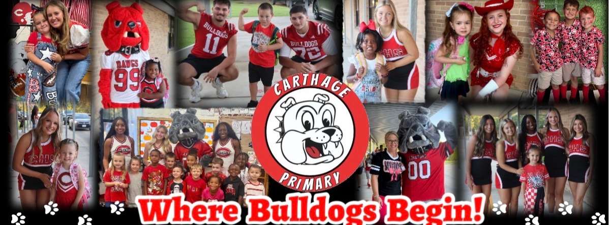 Where Bulldogs Begin
