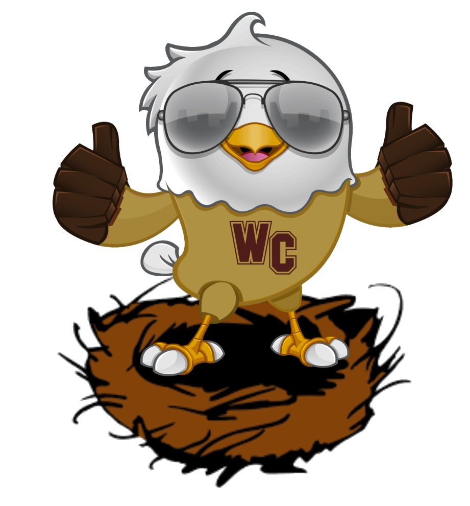 WC Eaglet with sunglasses and thumbs up