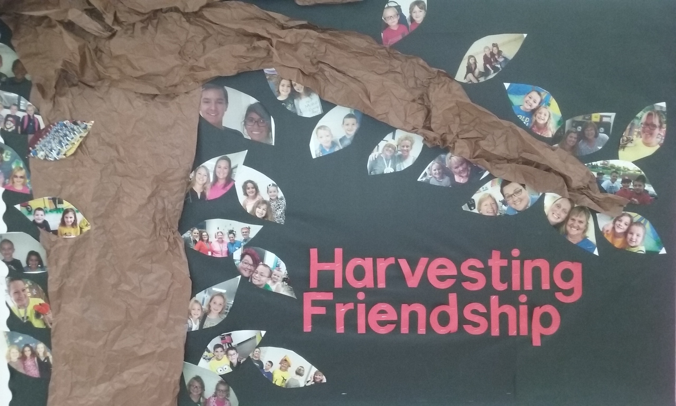 Harvest Friendships