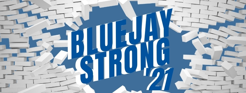 Bluejay Strong
