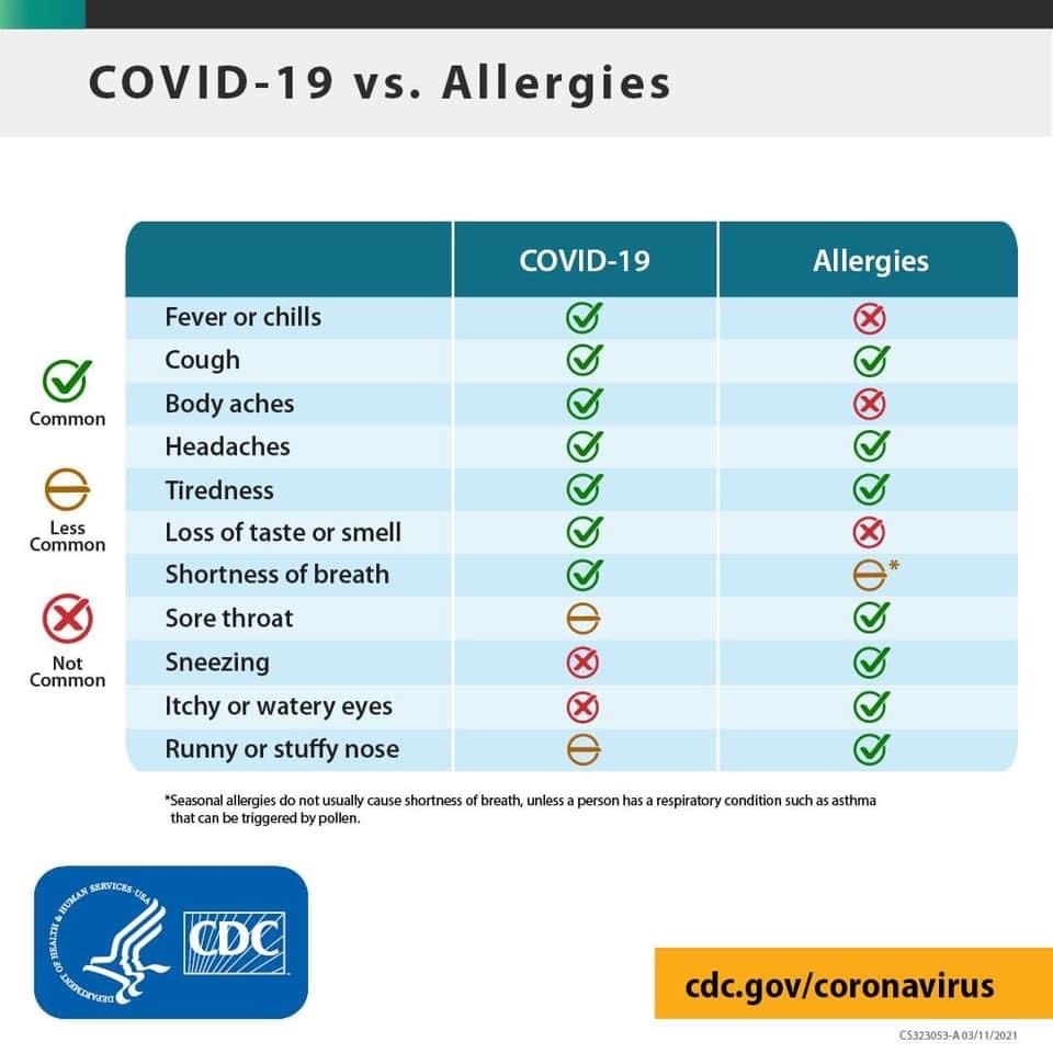 covid vs allergies