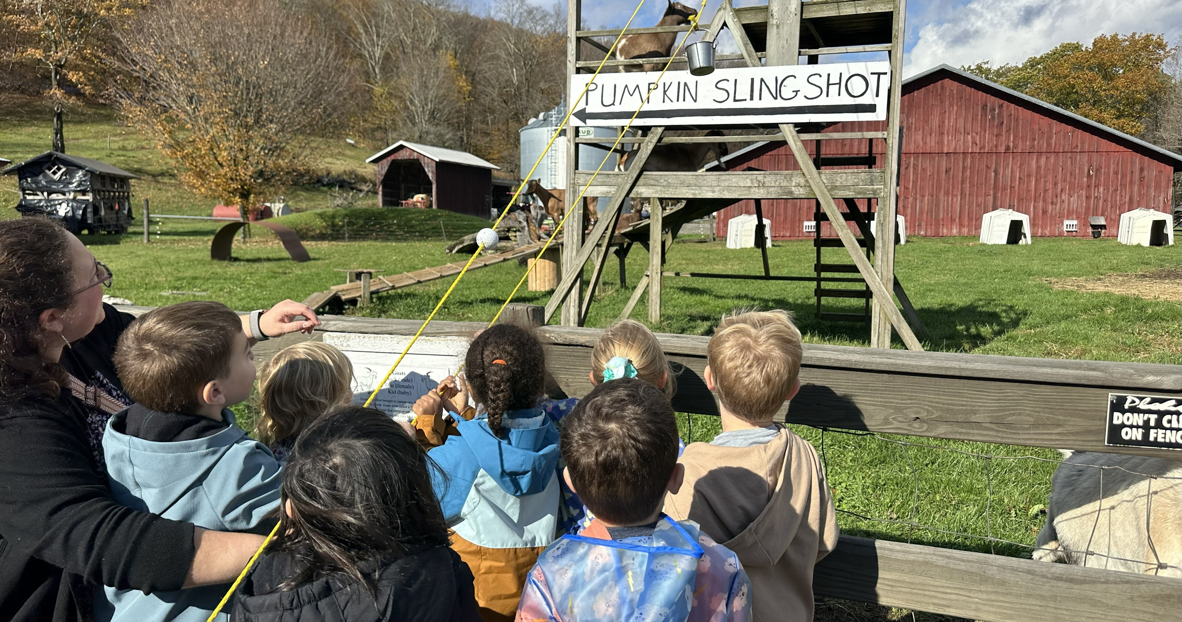 PK field trip feeding the animals