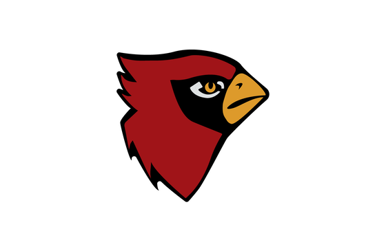 Louisville Cardinals Team Logo Marble iPhone Case