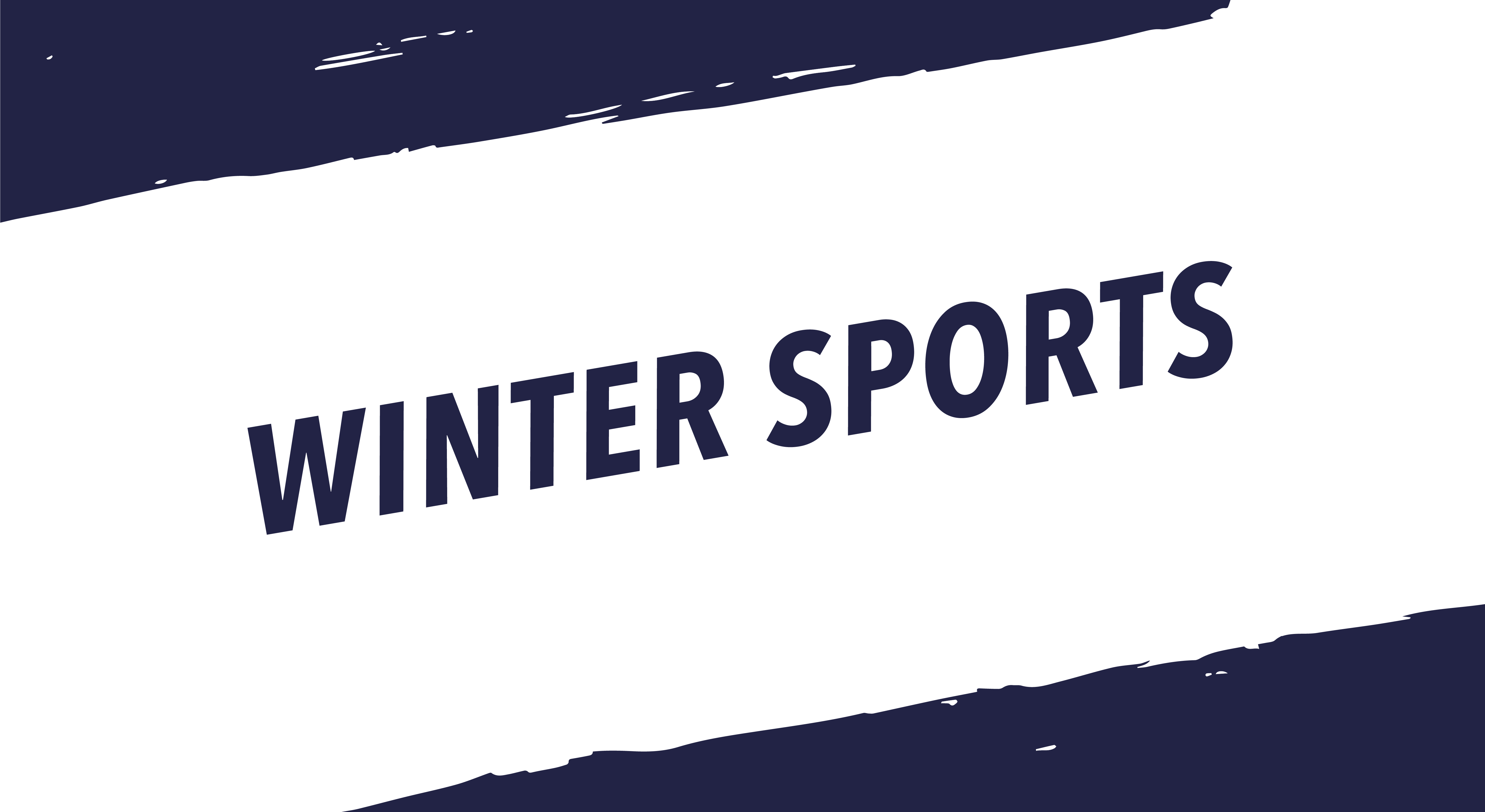 winter sports banner