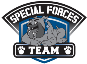 Special Forces Team