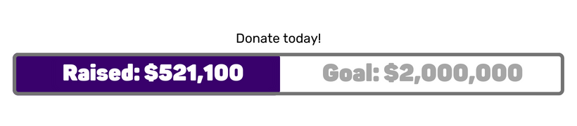 Raised: $250,000 Goal: $2,000,000