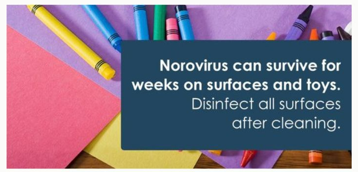 norovirus english