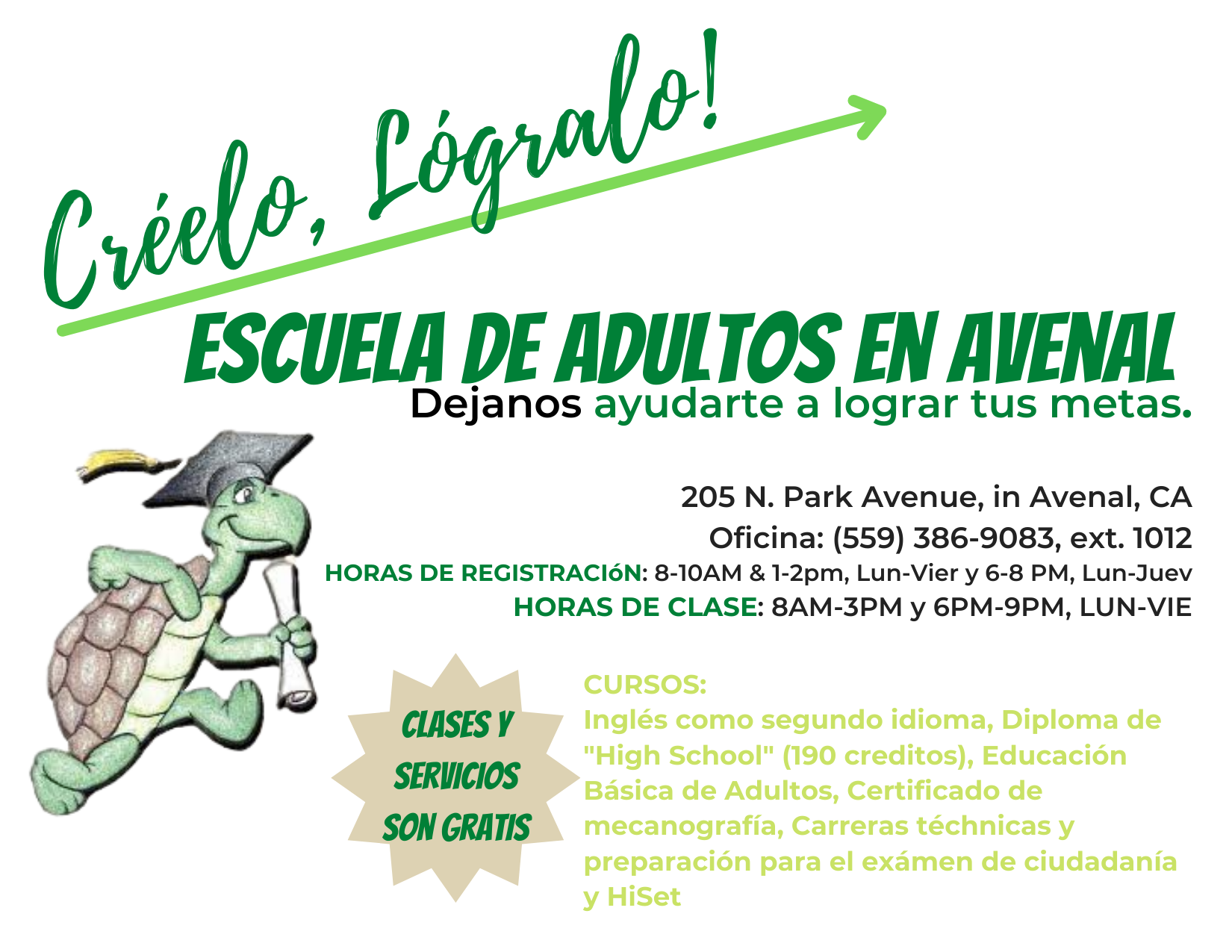 infromational flyer spanish
