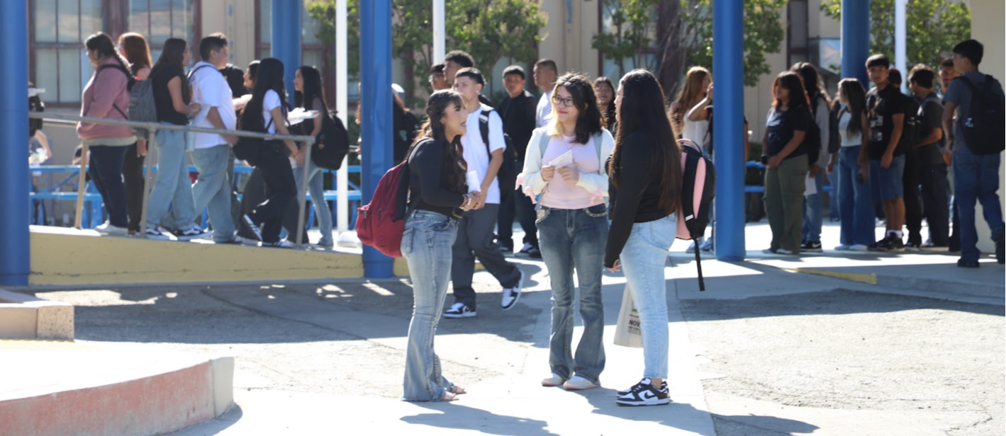 ahs students
