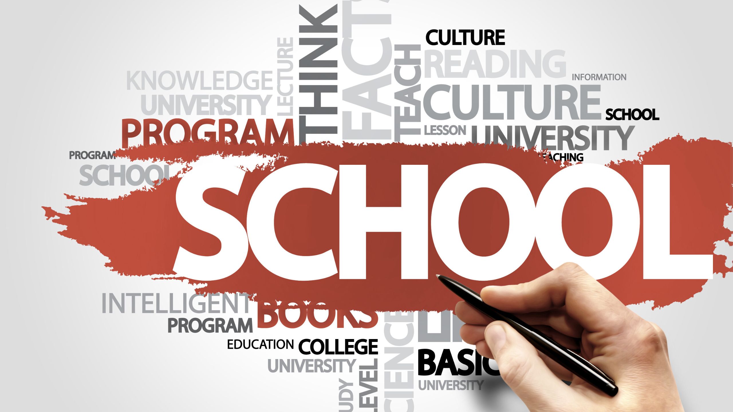 picture school