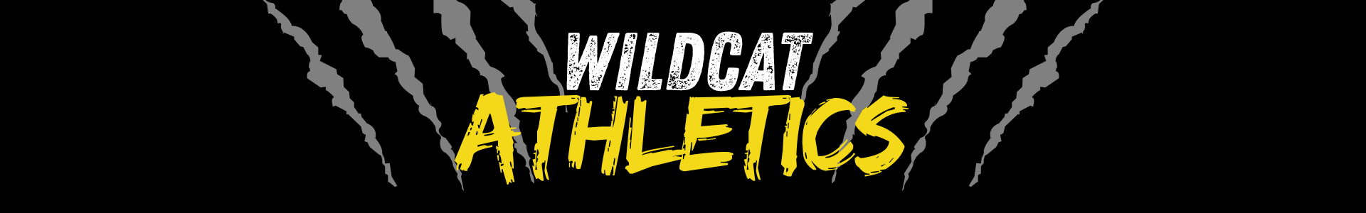 Athletics Banner Image