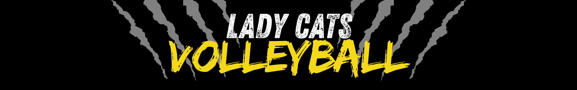 Lady Cats Volleyball Banner