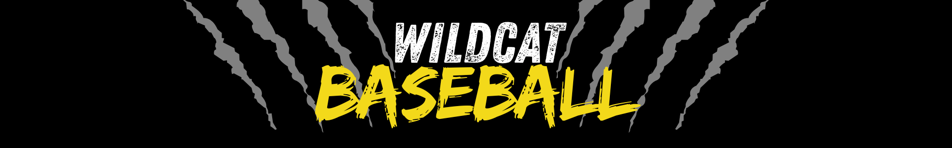 Baseball Page Banner