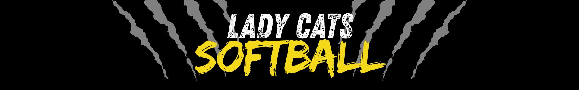 Softball Page Banner