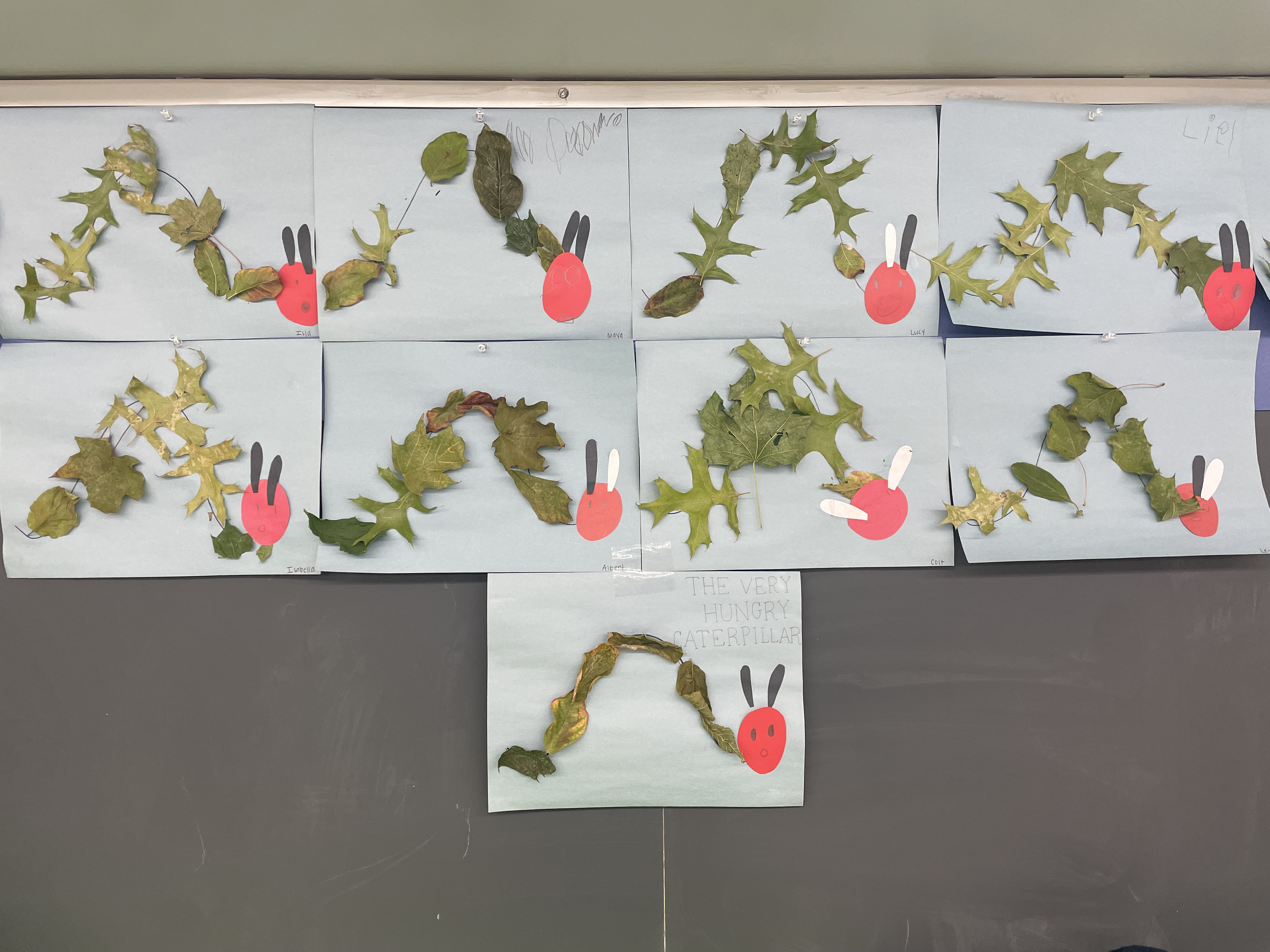 A group of very hungry caterpillars made of real fallen leaves!