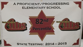 A PROFICIENT/PROGRESSING ELEMENTARY SCHOOL - STATE TESTING: 2014-2015