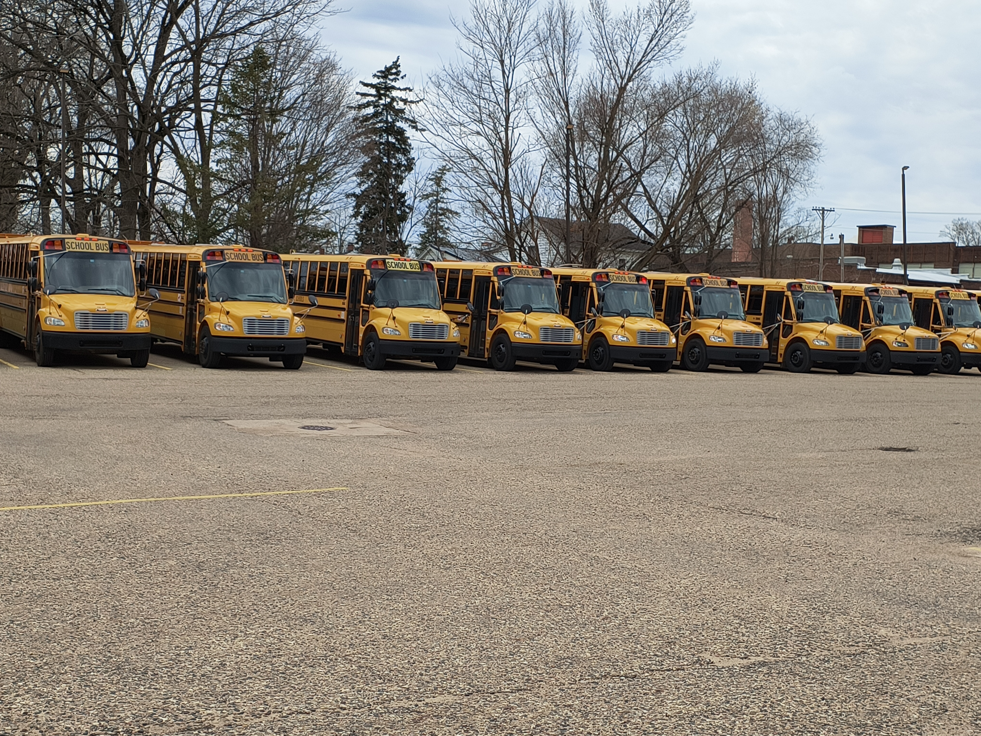 buses