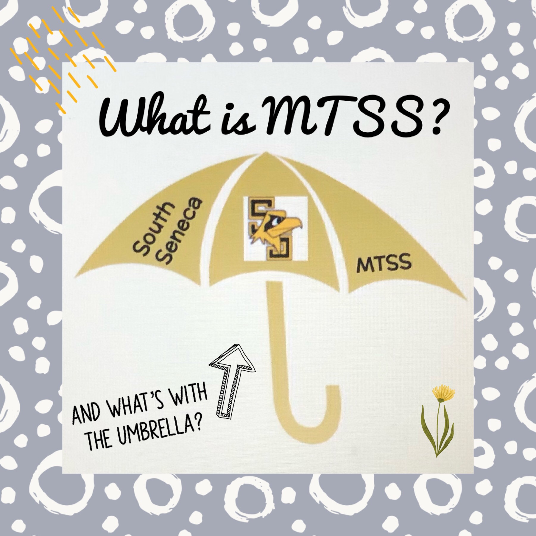 What is MTSS?